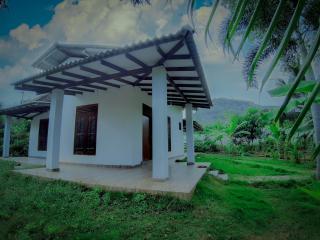 Adithya Resort - 6