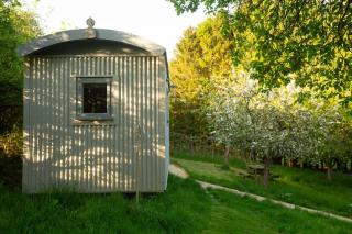 The Organic Cotswolds Shepherds Hut - 8