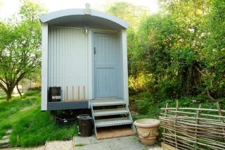 The Organic Cotswolds Shepherds Hut - 7