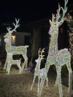 woonboot de dobber loosdrechtse plassen 6-8 personen - 8