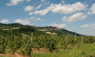 La casa delle Langhe - 4