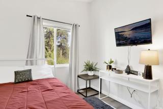 Play Big Bear #2580 - 9