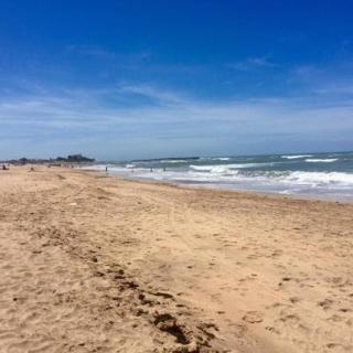 Appartement à louer Aux perles de tamaris - 1