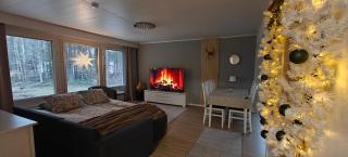 Arctic Forest Hide - Nature & Silence - 1