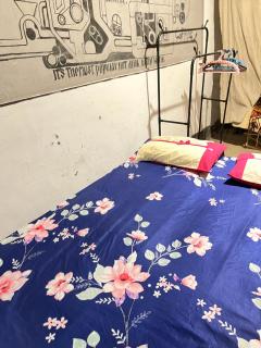 Peacock guest house - 9