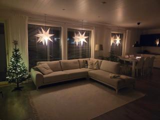 Spacious Modern House for Winter Holiday - Rovaniemi - 8