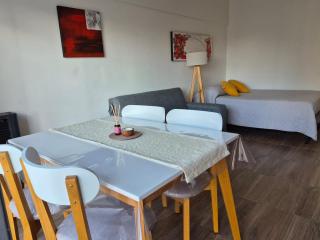 Monoambiente en pleno centro de Mar del Plata - 4