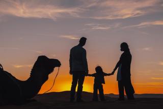 Salam Luxury Camp - 2