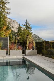 Premium Alpin Chalet Dachsteinhaus - 6