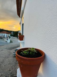 Quinta das Maçãs by SH - 7