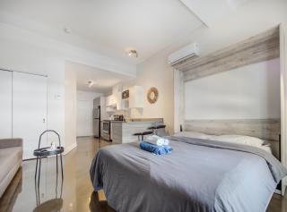 Appartement lumineux et cosy au centre de Montréal - 0