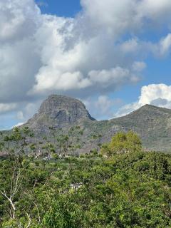 The Palms Property - 8