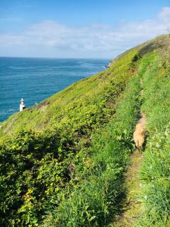 Hideaway Cottage - 2