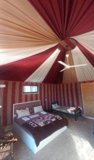 Golden Sand Oasis - 1