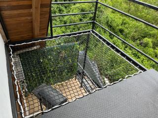 Cabaña del tigre - 9