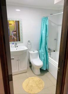 Large apartment, terrace and best location in Pucón - 7