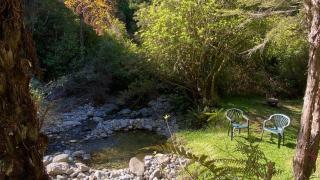 Alpacas Off Grid - Treehouse and Hut - 8