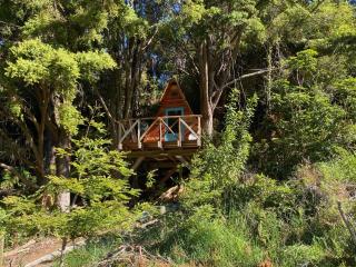 Alpacas Off Grid - Treehouse and Hut - 7