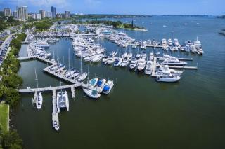 Vitamin Sea - Sarasota - 9