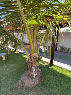 Casa com piscina no Cond Canto do Sol - Jacuípe - Guarajuba - 1