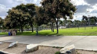 King Beds, Pet Friendly, Near Zoo, Freeway access - 7