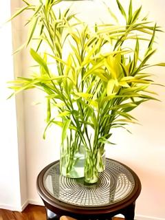 Apto de Copacabana amplo arejado 300 mt da praia - 1