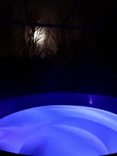 Gîte L'Écureuil - Sauna & Bain Nordique - Nature - 5