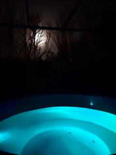 Gîte L'Écureuil - Sauna & Bain Nordique - Nature - 3