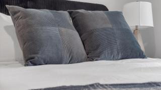 Modern & Newly Renovated 1BR Flat West Congress - 1