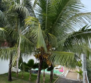 Chalet des Roses - 7