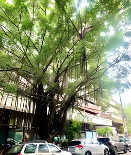 Leblon com elegância e conforto 150 mt da praia - 1