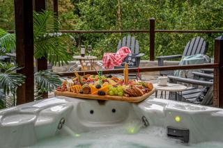 Wellness Retreat Zen Oasis DOGS Spa Hot Tub - 4