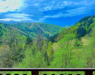 L écrin vosgien - 7