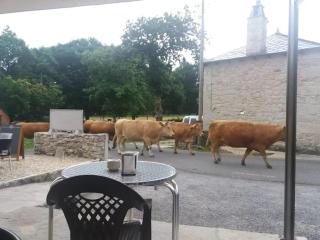 Albergues O Abrigo Miraz -  - 3