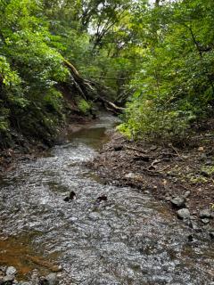 LUXURY Apartment in BLUE Playa Venao D-32 - 7