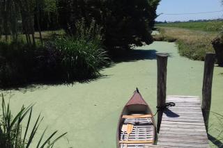 Le chai du Marais Sauvage - 1