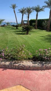 cecelia resort - Hurghada - 6