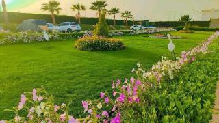 cecelia resort - Hurghada - 3