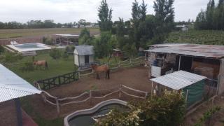 Cabañas La Sarita - 4