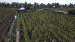 Cabañas La Sarita - 3