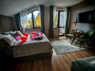 Mountain studio ASP E63 Borovets Gardens - 2