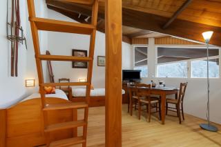 Résidence Grand Roc - Bruyères 441 - Happy Rentals - 9