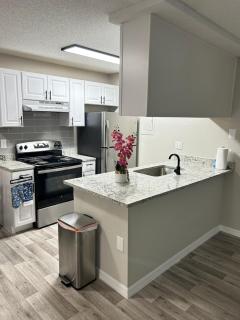 A full-fledged apartment with overlooking the lake - 4