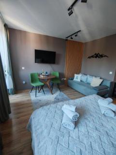 Mountain studio ASP E63 Borovets Gardens - 6