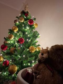 Andreou Apartment - 6