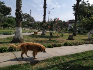 Apartamento moderno a 5 minutos de Plaza Norte - 6