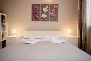 Casa Bramante - Comfort tra Inalpi Arena, Ospedali e Centro - Turin - 8