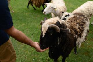 The Temple - Country Farm Retreat - 6