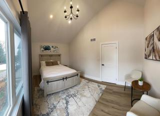 Vineyard Countryside - 3