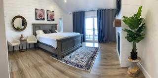 Vineyard Countryside - 2